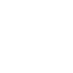 RV Icon