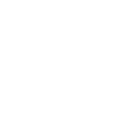 Airplane Icon