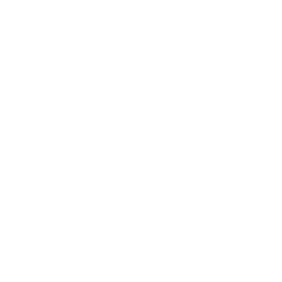 Speed Boat Icon